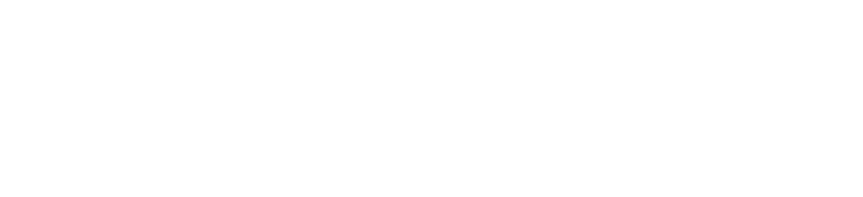 LOGO HORIZONTAL BLANCO con url-02